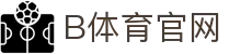 B体育官方网站首页 - B SPORTS 官方中文站点